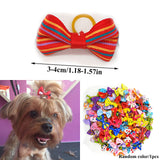 Dogs Hat With Ear Holes Adjustable