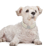 Pearl Dog Necklace Collar Fashion Jeweled Puppy Cat Collar With Bling Rhinestone Diamante Dog Pet  Accessories Supplies